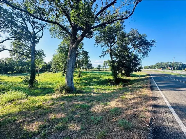 a view of park with trees