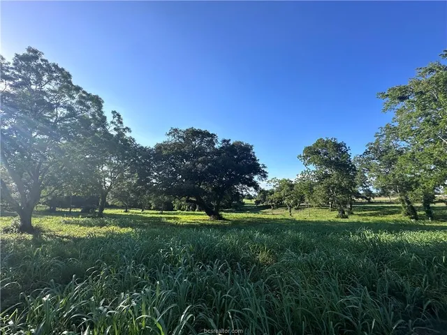a yard with lots of green space and trees