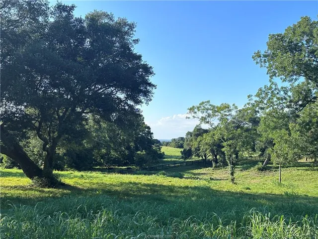 a view of grassy field with trees