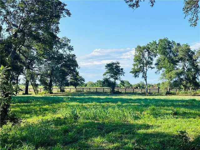 a view of a park with large trees