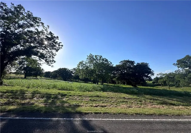 a view of a garden with an outdoor space