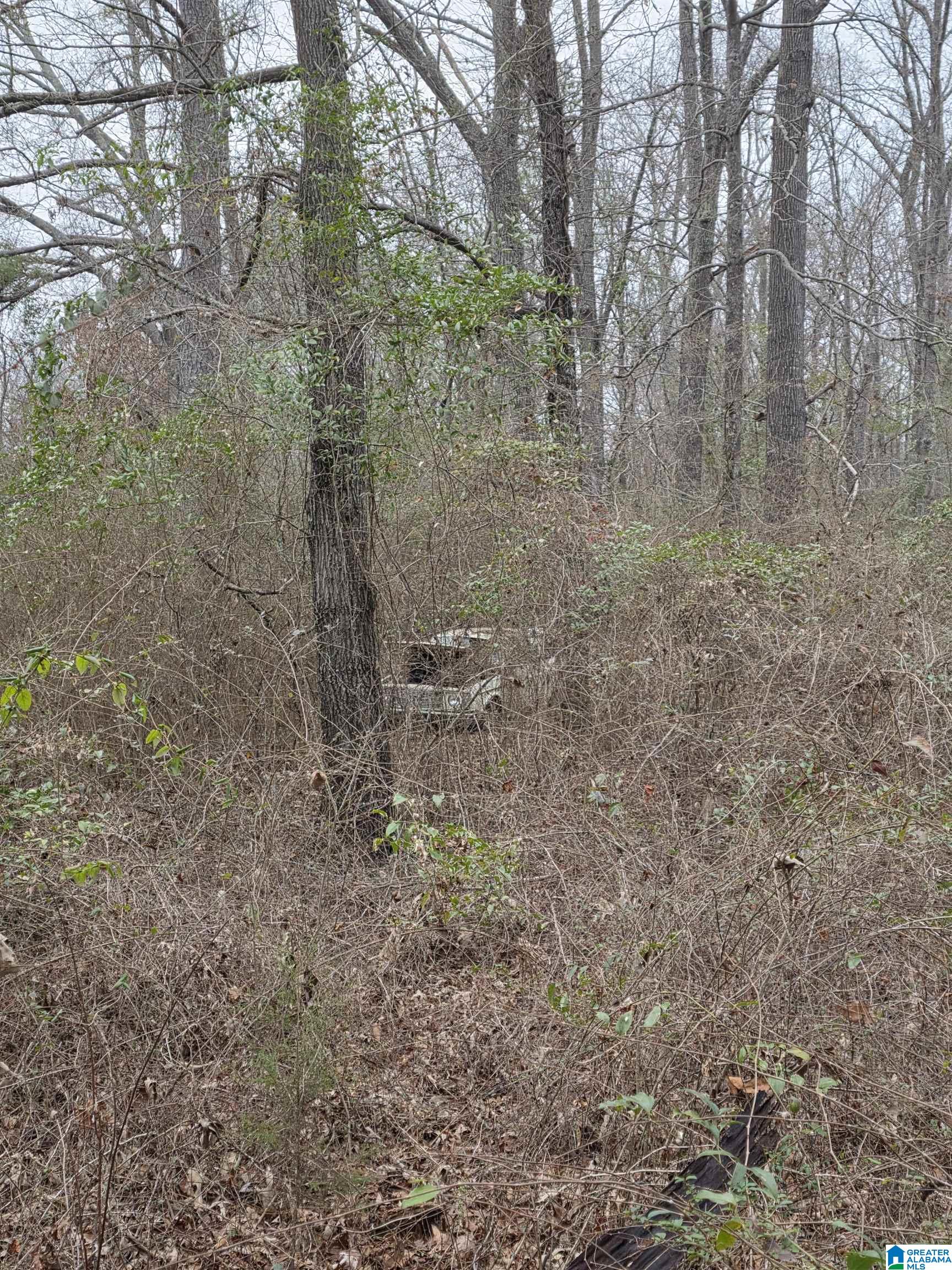322 Tucker Road Talladega, AL 35160 - Photo 5 of 21