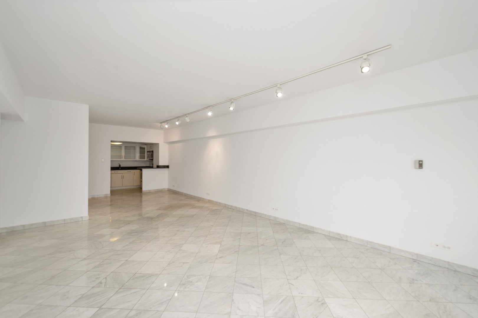 175 East Delaware Place, Unit 7207 Chicago, IL 60611 - Photo 4 of 23
