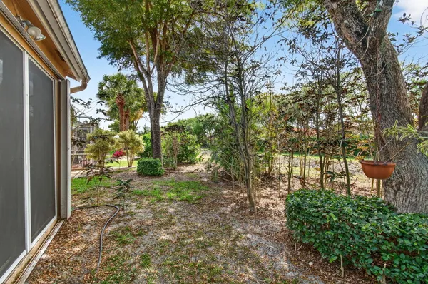 a view of a yard in front of a house with a large tree