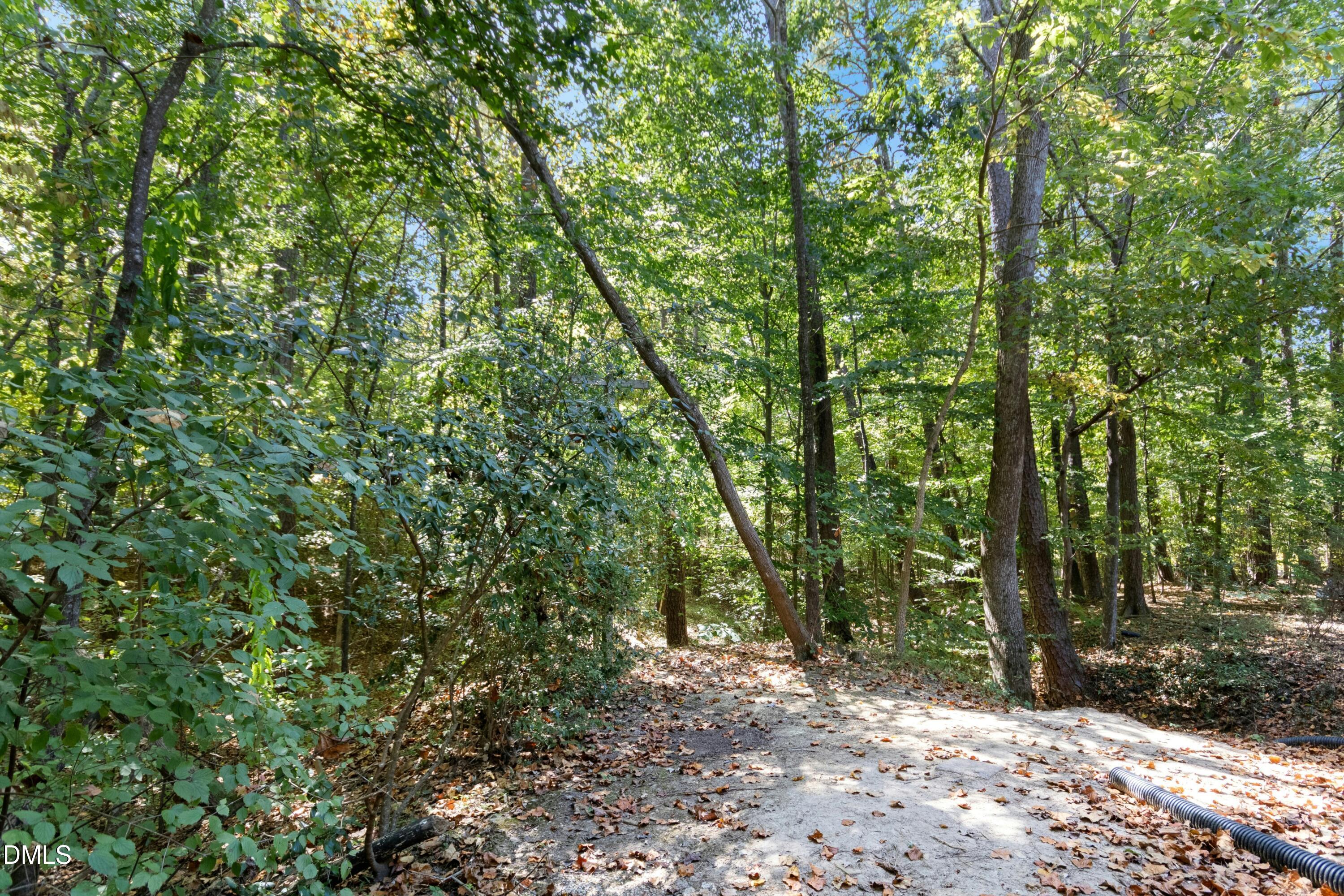 3 Peaceful Place Chapel Hill, NC 27517 - Photo 28 of 35 027-486802-IMG_3962