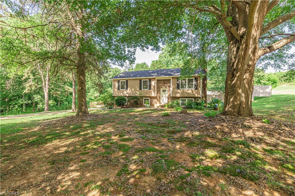 2896 Millwheel Road Pfafftown, NC 27040 - Photo 13 of 37 Fireplace