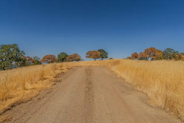 a view of a backyard of a house