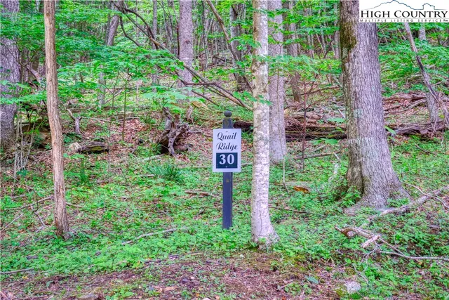 $24,000 | Lot 30 Quail Ridge Drive, Fleetwood, NC 28626