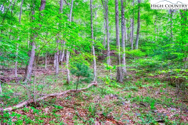 $24,000 | Lot 30 Quail Ridge Drive, Fleetwood, NC 28626