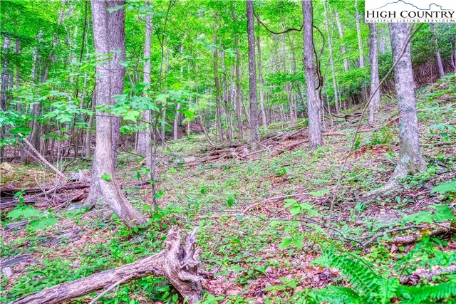 $24,000 | Lot 30 Quail Ridge Drive, Fleetwood, NC 28626