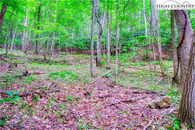 $24,000 | Lot 30 Quail Ridge Drive, Fleetwood, NC 28626