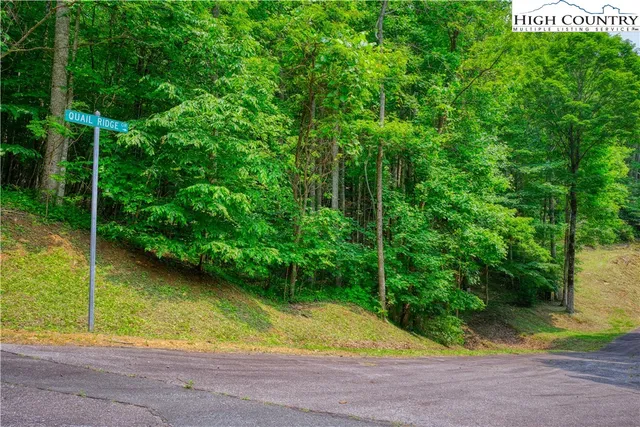 $24,000 | Lot 30 Quail Ridge Drive, Fleetwood, NC 28626