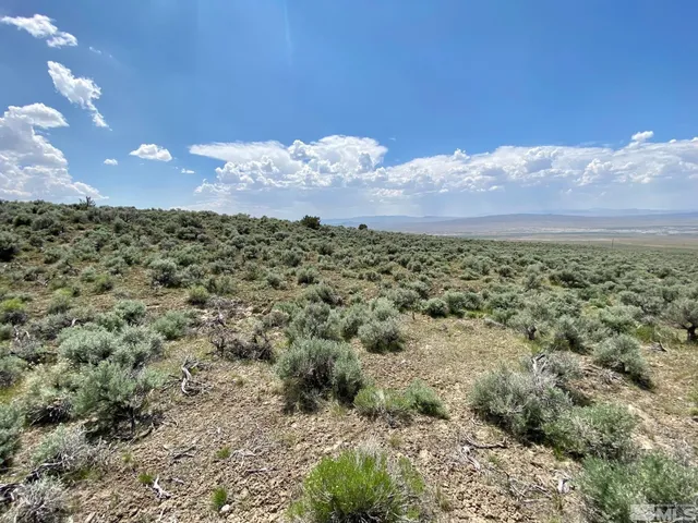 $32,400 | 25355 Buffalo Canyon Road, Imlay, NV 89418