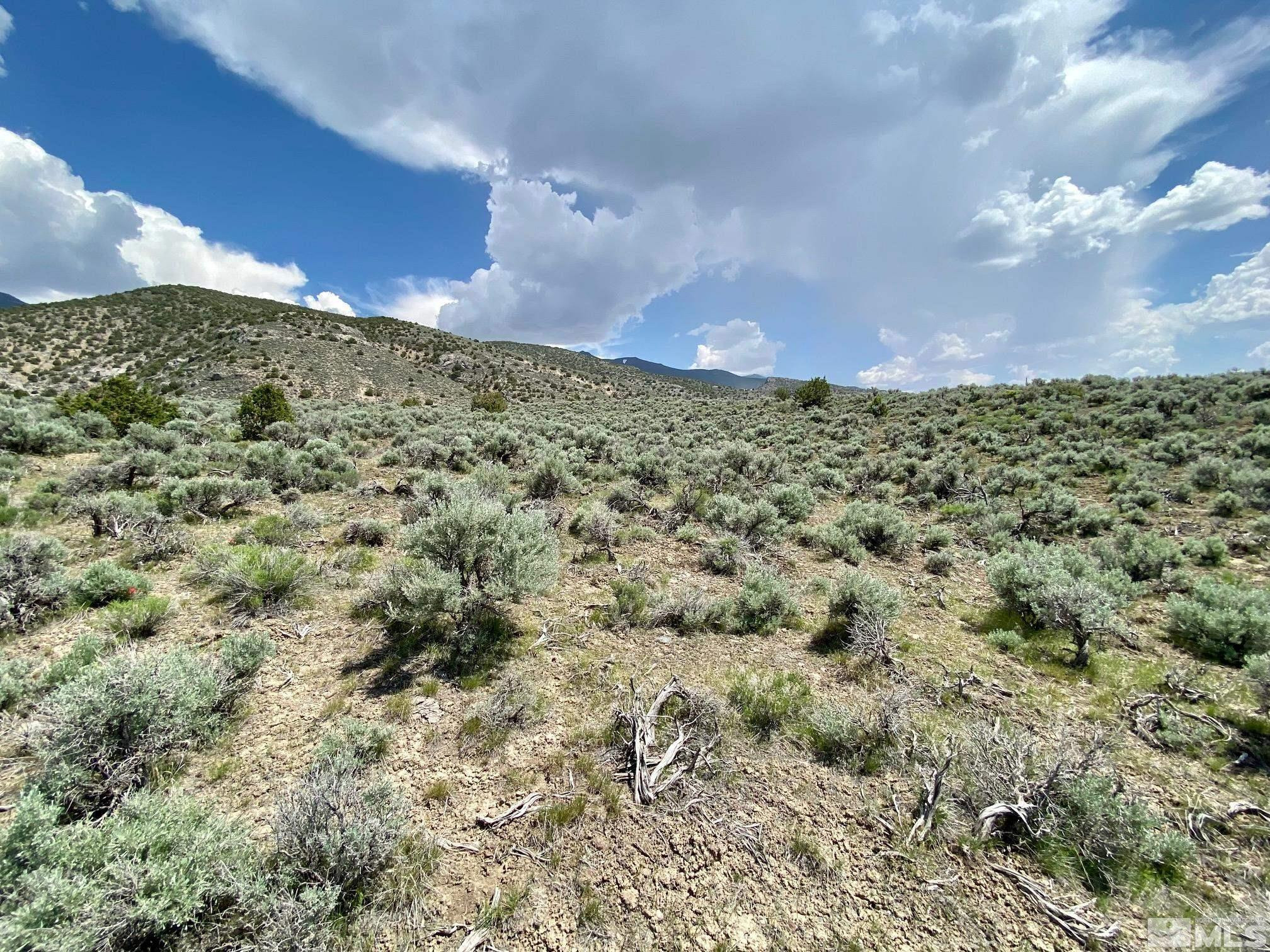 25355 Buffalo Canyon Road Imlay, NV 89418 - Photo 12 of 37 Photo 12