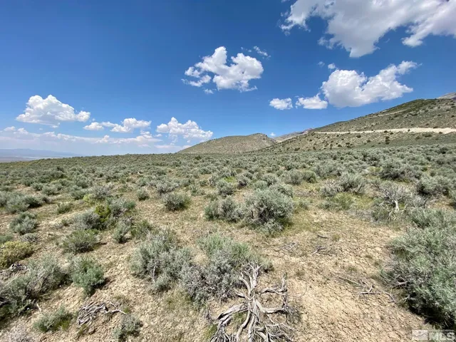 $32,400 | 25355 Buffalo Canyon Road, Imlay, NV 89418