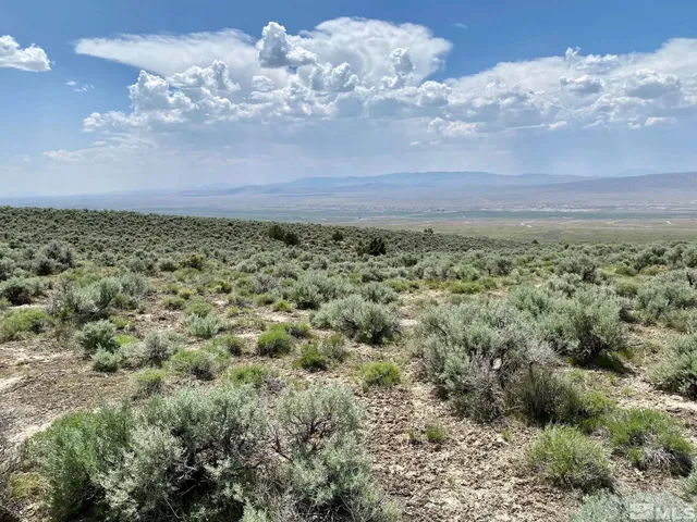 $32,400 | 25355 Buffalo Canyon Road, Imlay, NV 89418