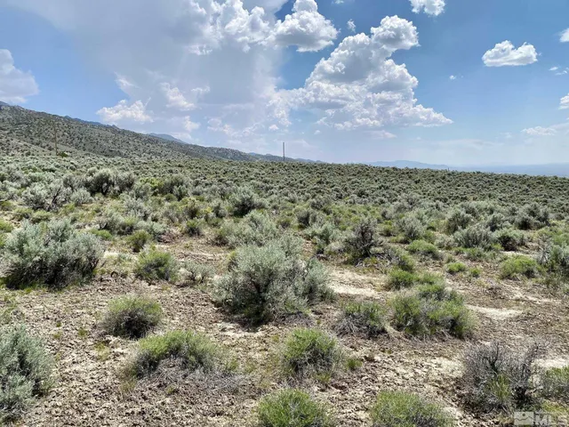 $32,400 | 25355 Buffalo Canyon Road, Imlay, NV 89418