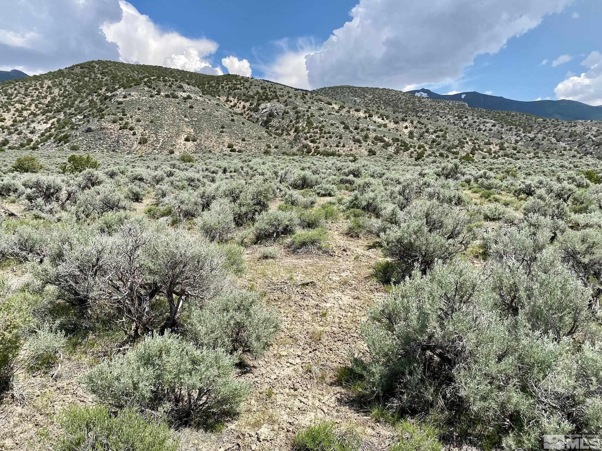 25355 Buffalo Canyon Road Imlay, NV 89418 - Photo 18 of 37 Photo 18