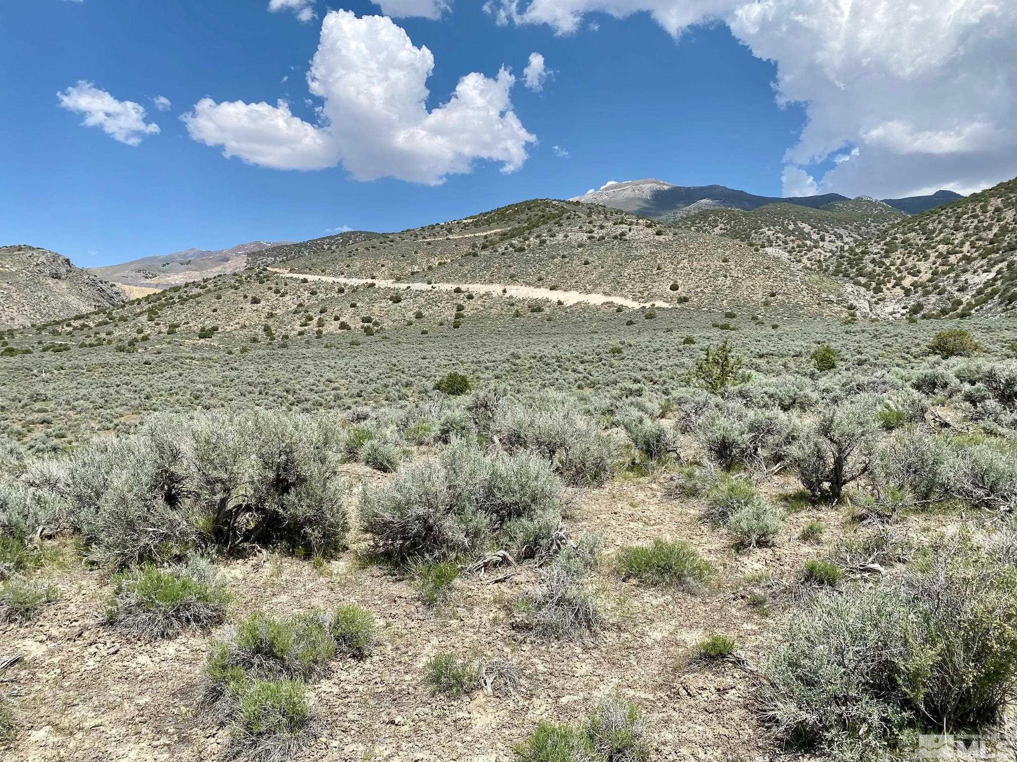 25355 Buffalo Canyon Road Imlay, NV 89418 - Photo 19 of 37 Photo 19