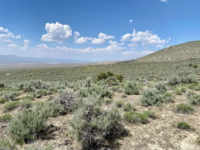 $32,400 | 25355 Buffalo Canyon Road, Imlay, NV 89418
