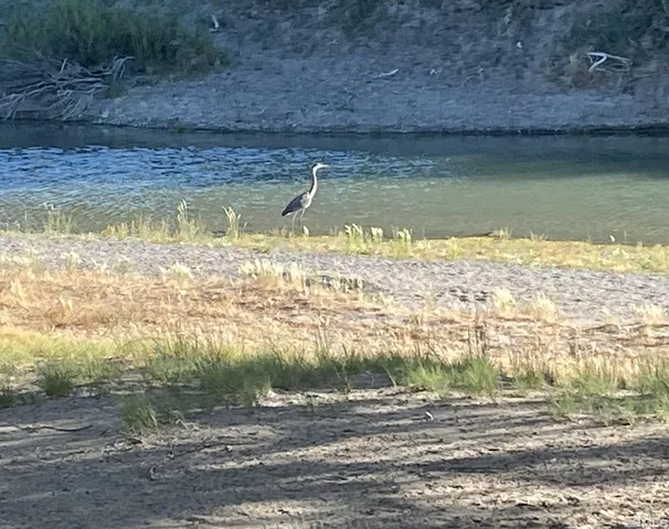 $32,400 | 25355 Buffalo Canyon Road, Imlay, NV 89418