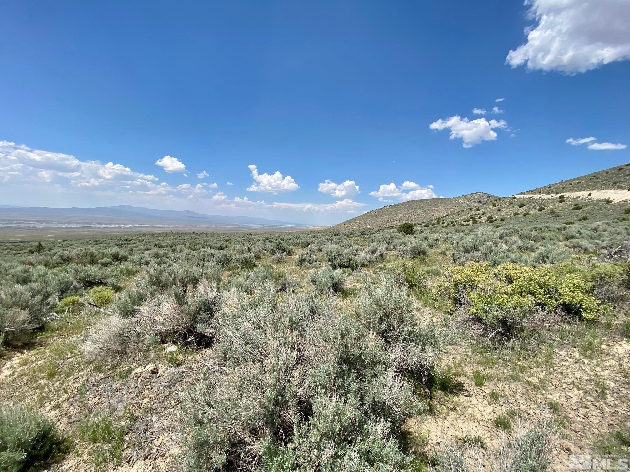 25355 Buffalo Canyon Road Imlay, NV 89418 - Photo 4 of 37 Photo 4