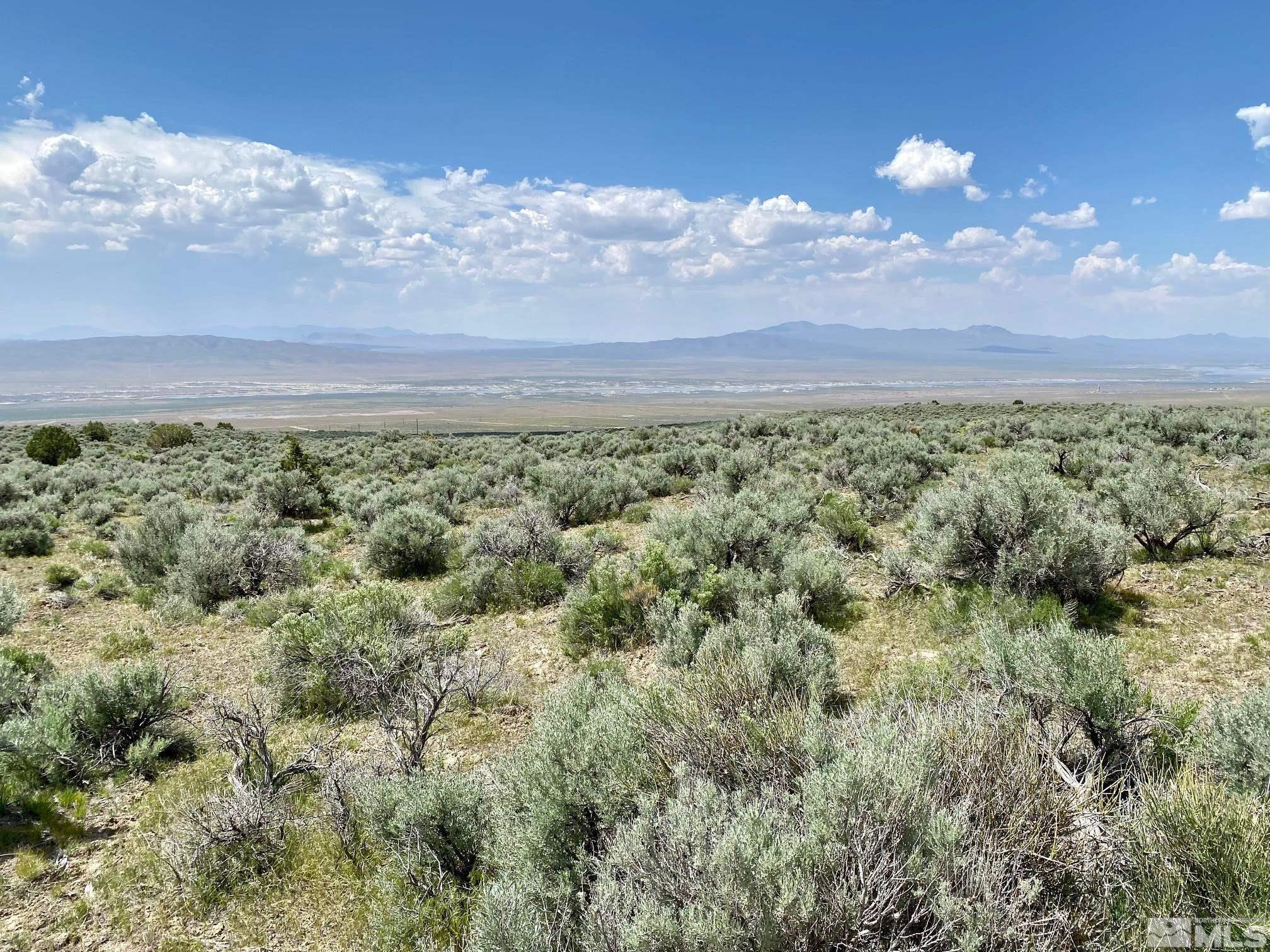 25355 Buffalo Canyon Road Imlay, NV 89418 - Photo 6 of 37 Photo 6