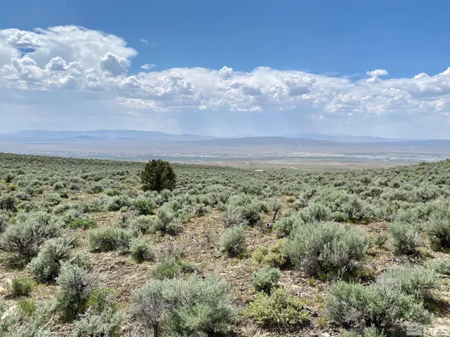 $32,400 | 25355 Buffalo Canyon Road, Imlay, NV 89418
