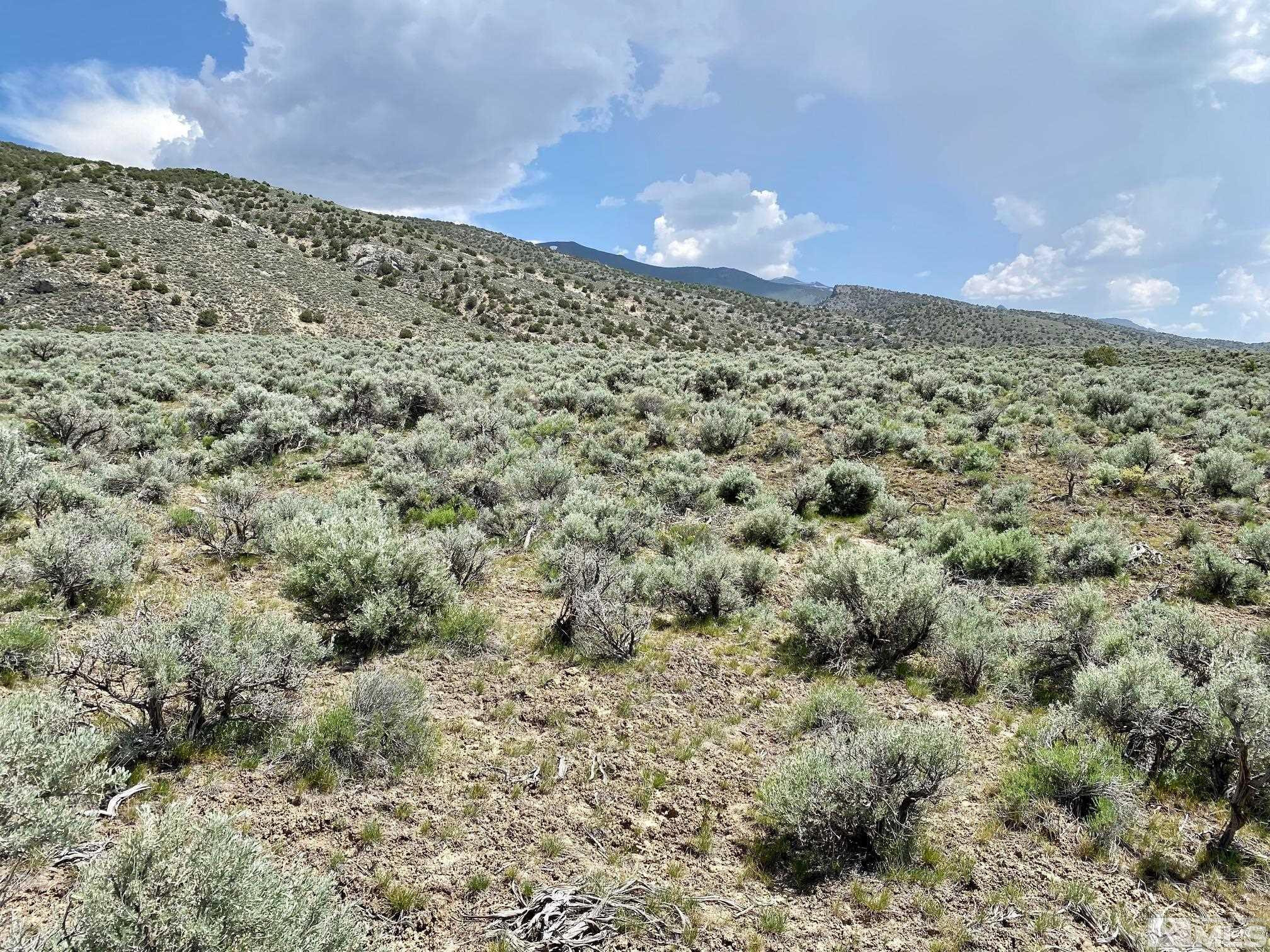 25355 Buffalo Canyon Road Imlay, NV 89418 - Photo 8 of 37 Photo 8