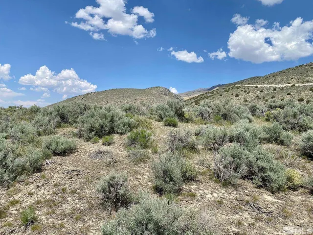$32,400 | 25355 Buffalo Canyon Road, Imlay, NV 89418
