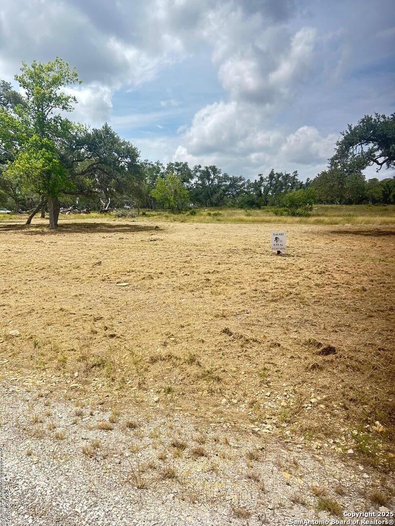 658 Windmill Ridge Drive Blanco, TX 78606 - Photo 3 of 4