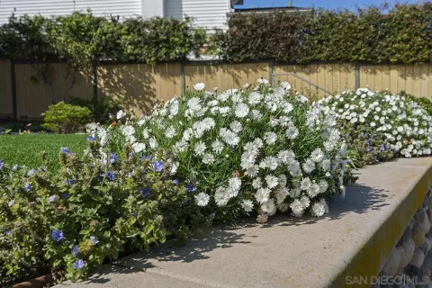 $1,525,000 | 2133 Pine Street, San Diego, CA 92103