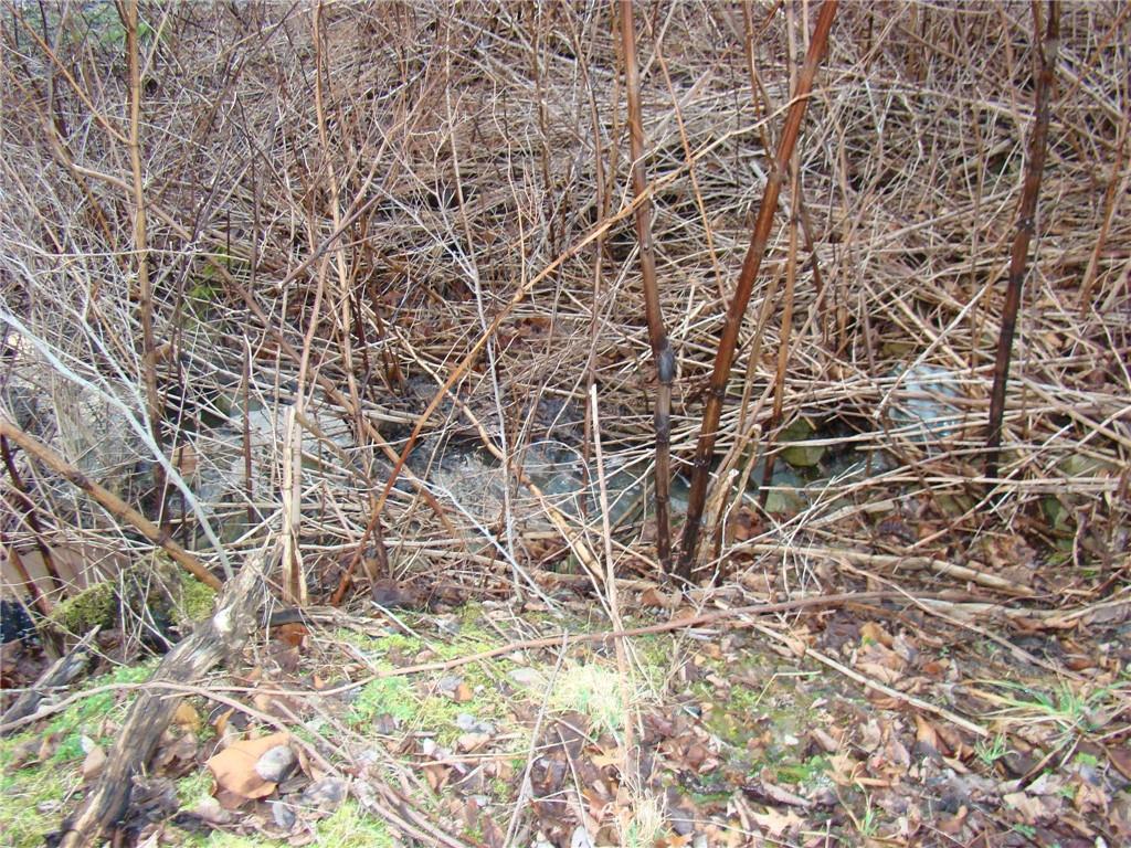 0 Stotler Road Pittsburgh, PA 15235 - Photo 11 of 11 Gallery Image 11