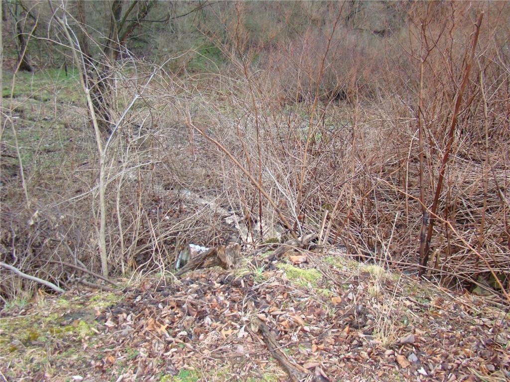 0 Stotler Road Pittsburgh, PA 15235 - Photo 8 of 11 Gallery Image 8