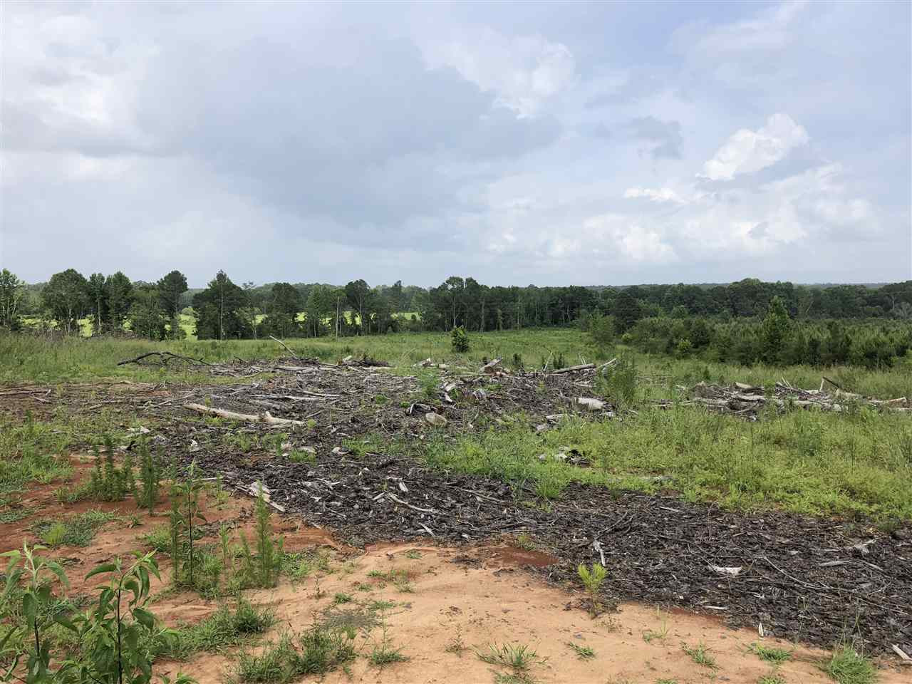 0 Delancy Road Braxton, MS 39044 - Photo 1 of 13 Photo 1