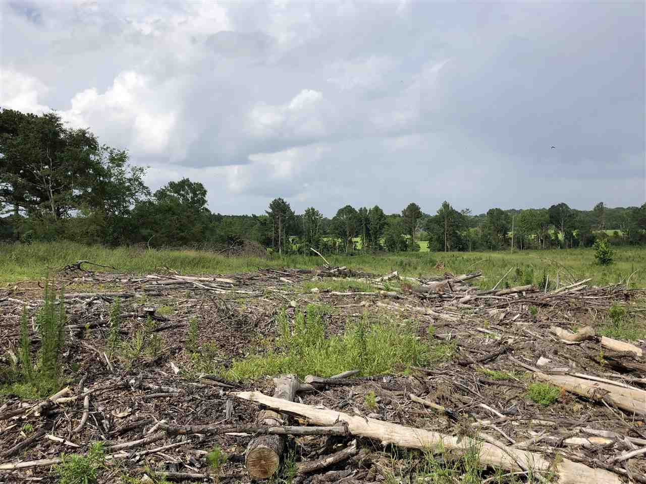 0 Delancy Road Braxton, MS 39044 - Photo 2 of 13 Photo 2