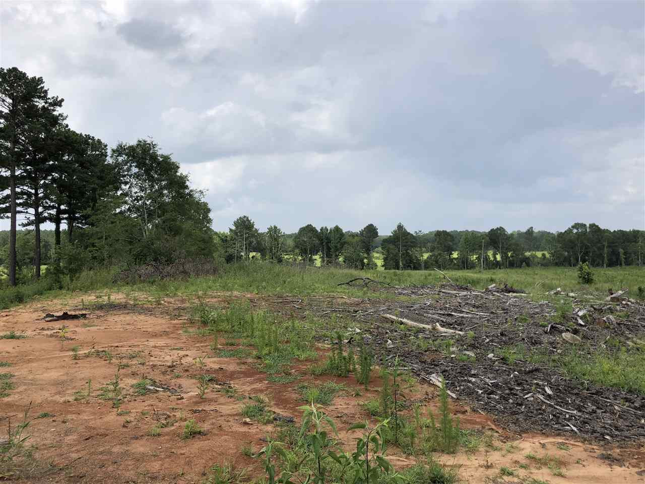 0 Delancy Road Braxton, MS 39044 - Photo 3 of 13 Photo 3