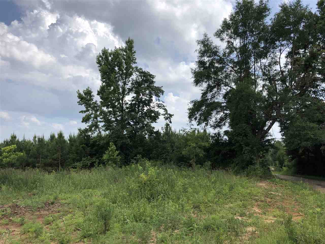 0 Delancy Road Braxton, MS 39044 - Photo 4 of 13 Photo 4