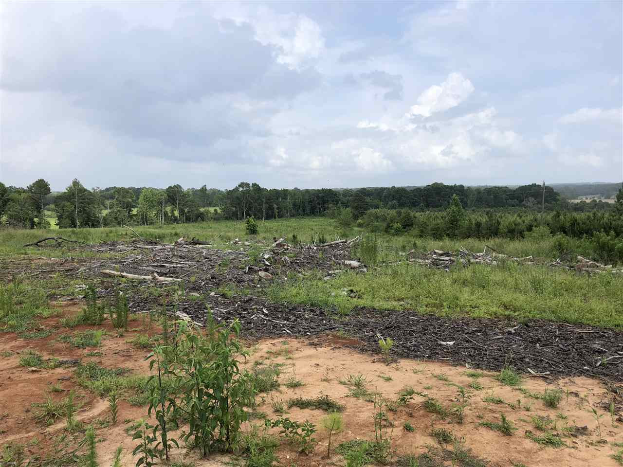 0 Delancy Road Braxton, MS 39044 - Photo 5 of 13 Photo 5