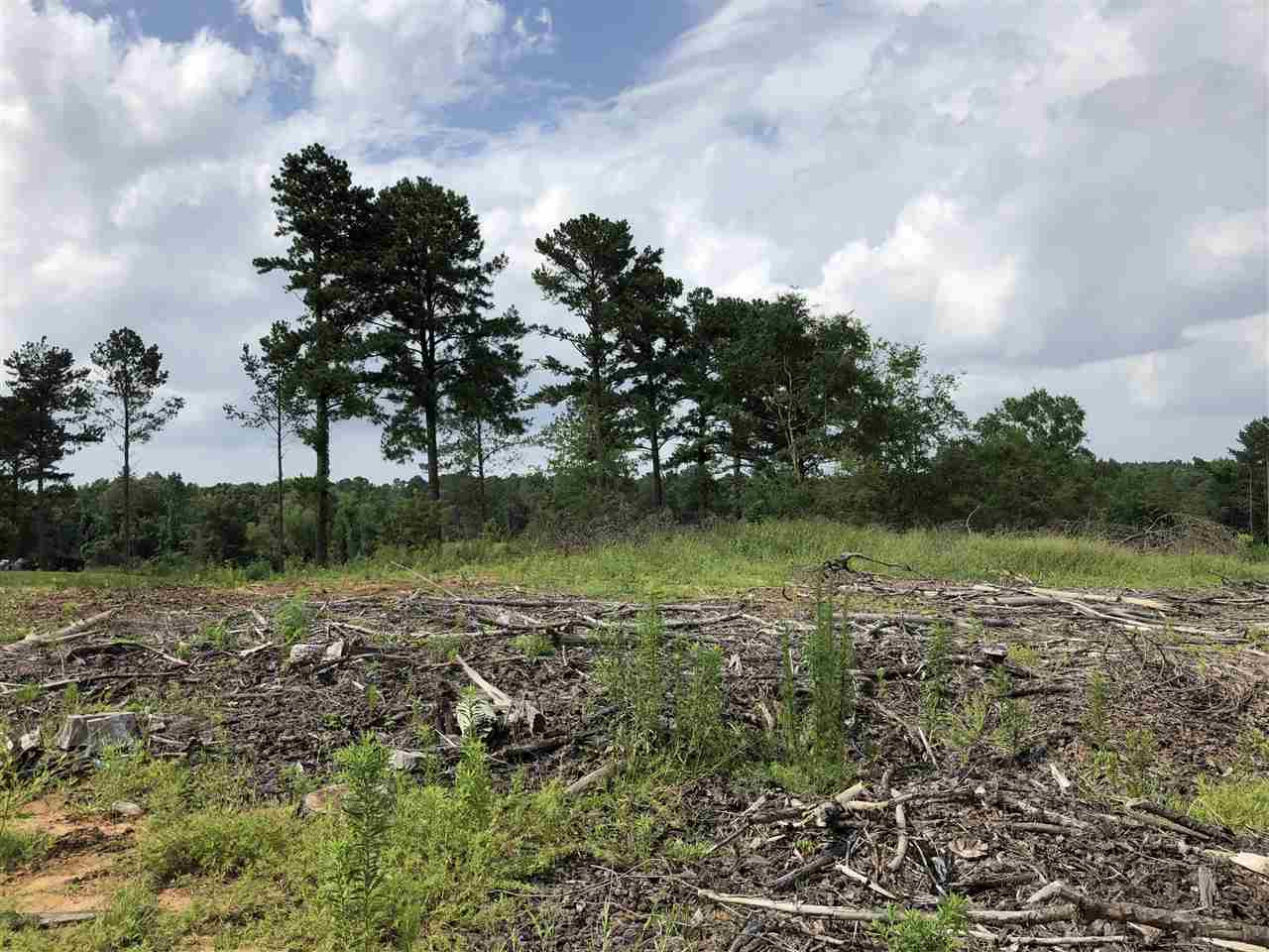 0 Delancy Road Braxton, MS 39044 - Photo 6 of 13 Photo 6
