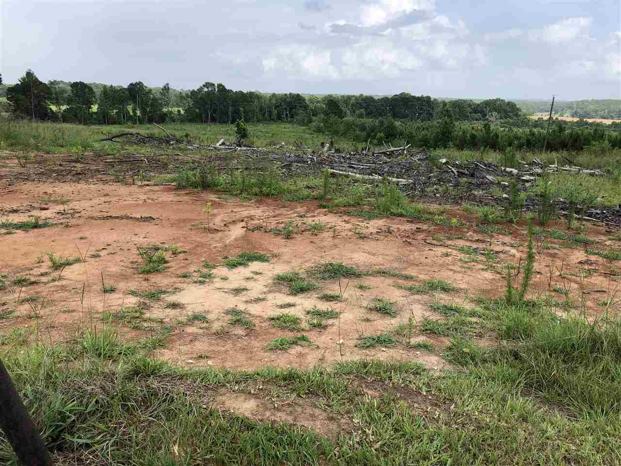 0 Delancy Road Braxton, MS 39044 - Photo 7 of 13 Photo 7