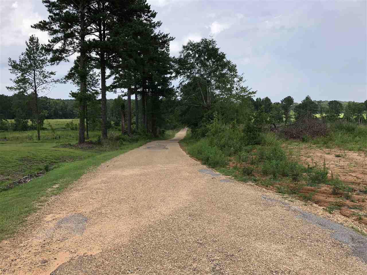 0 Delancy Road Braxton, MS 39044 - Photo 9 of 13 Photo 9