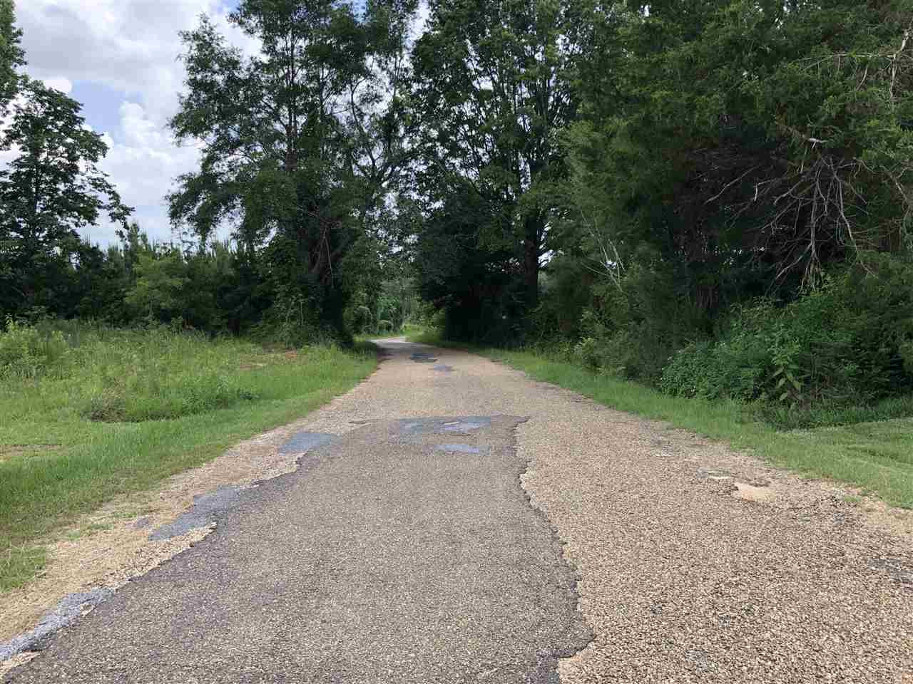 0 Delancy Road Braxton, MS 39044 - Photo 10 of 13 Photo 10