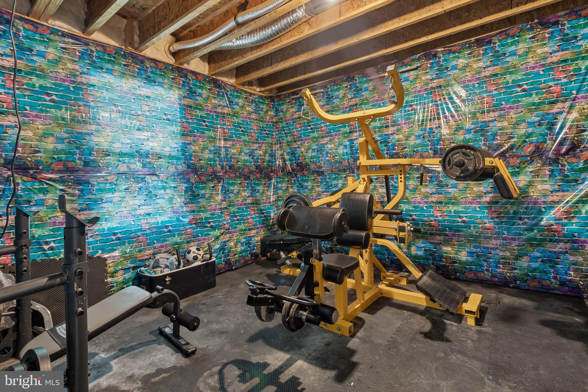 14109 Port Town Road Accokeek, MD 20607 - Photo 28 of 30 Basement fitness area