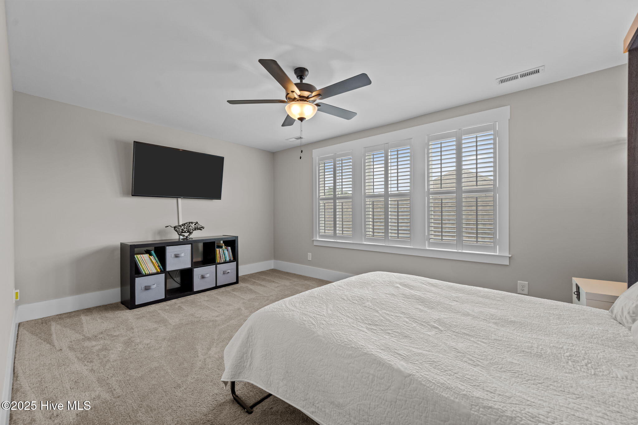 310 Lightning Bug Lane Holly Ridge, NC 28445 - Photo 47 of 57 53-web-or-mls-_RAD7078