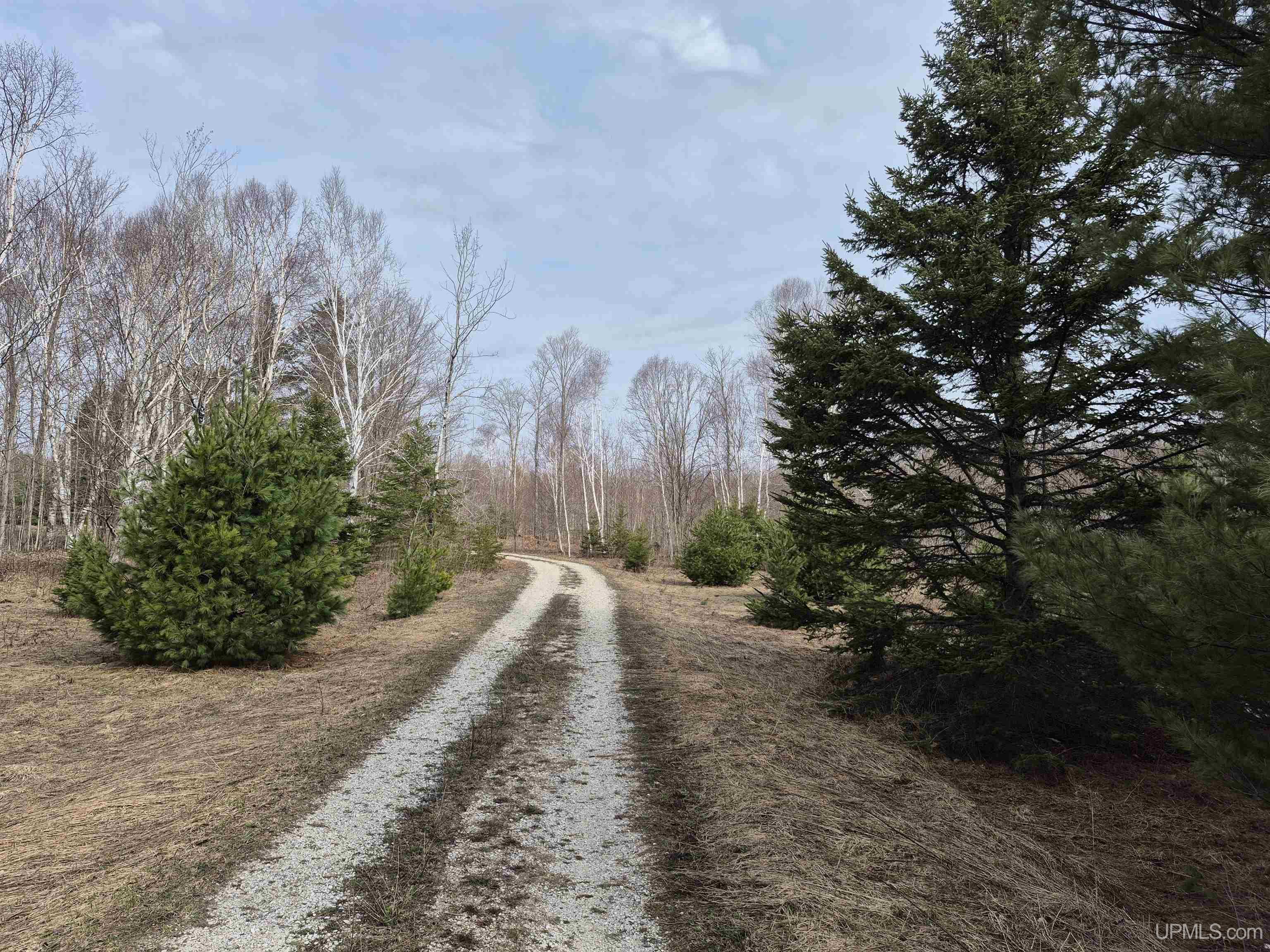 3754 Quarry Road Gulliver, MI 49840 - Photo 24 of 77