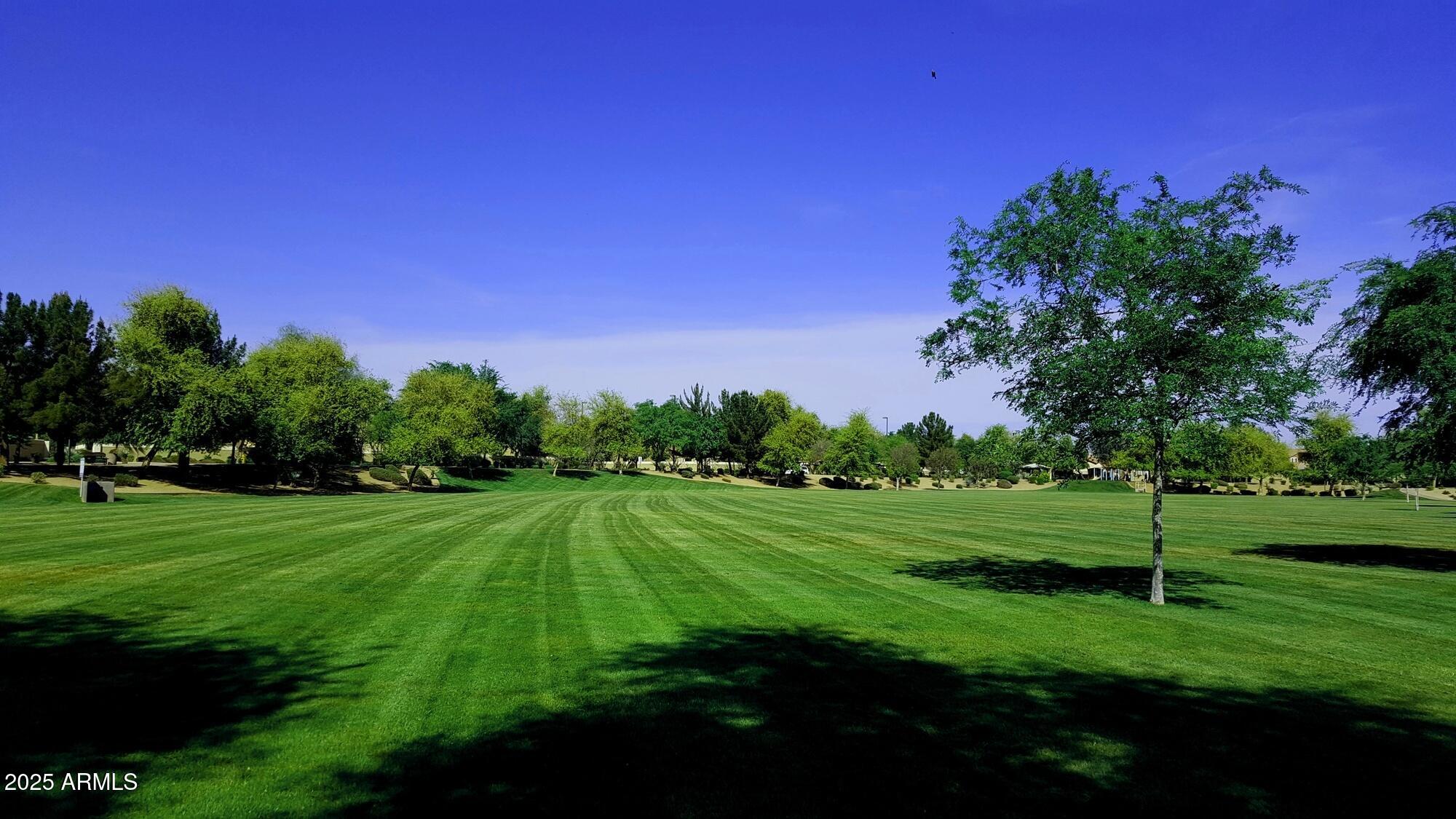 939 South Roca Street Gilbert, AZ 85296 - Photo 38 of 40 a view of a big yard with a large tree
