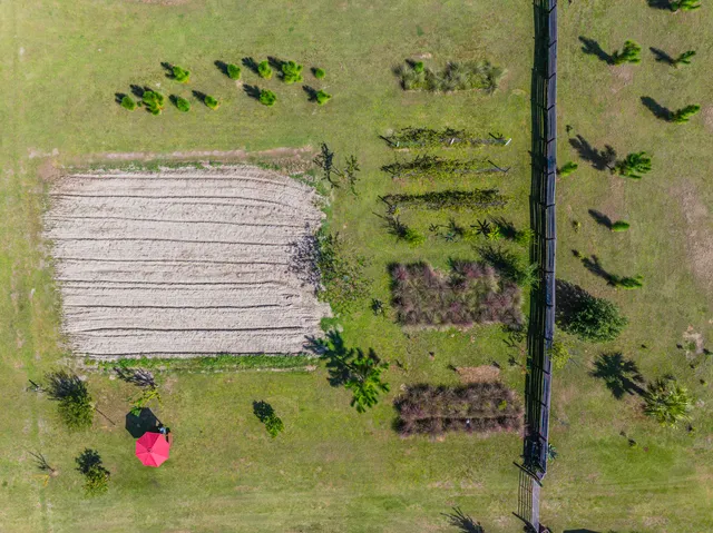 $850,000 | 1014 Fire Hill Road, Walterboro, SC 29488