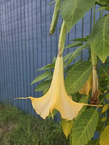 $850,000 | 1014 Fire Hill Road, Walterboro, SC 29488