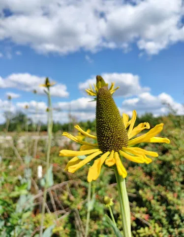 $850,000 | 1014 Fire Hill Road, Walterboro, SC 29488